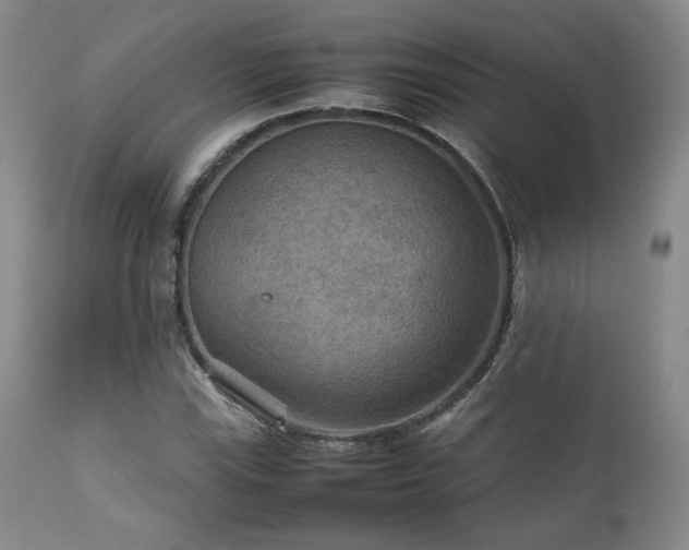 X0000111901115200907271151