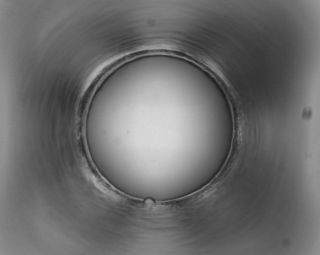 X0000111901116200907271151