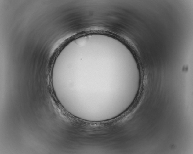 X0000111901117200907271151