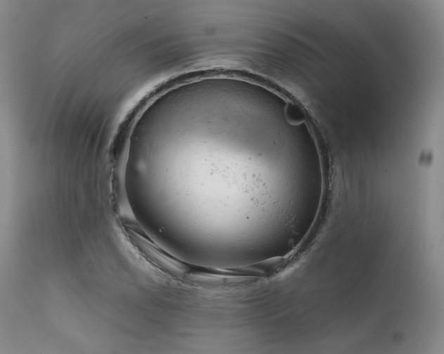 X0000111901118200907271151