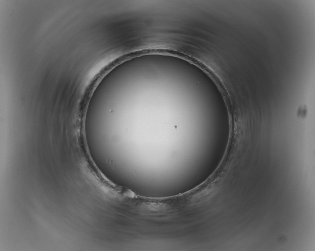 X0000111901119200907271151