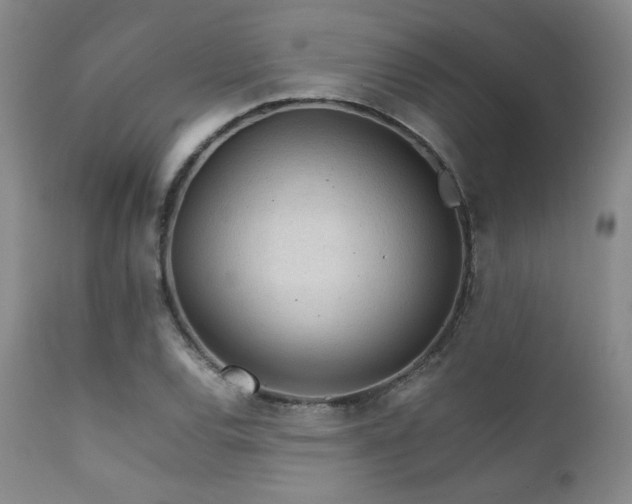 X0000111901120200907271151