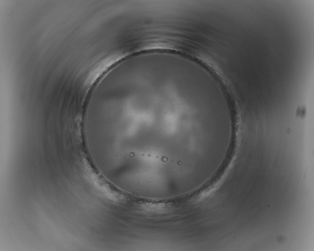 X0000111901121200907271151