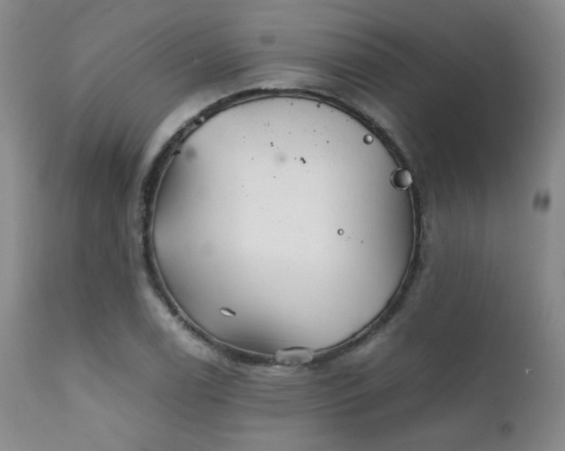 X0000111901122200907271151