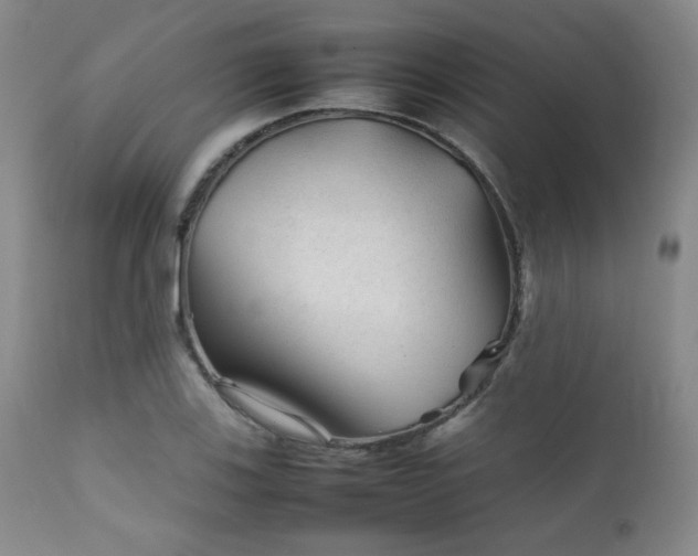 X0000111901123200907271151