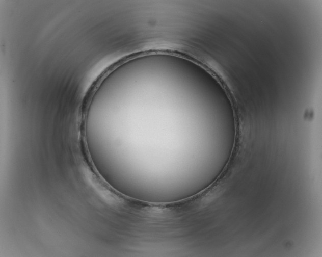 X0000111901124200907271151