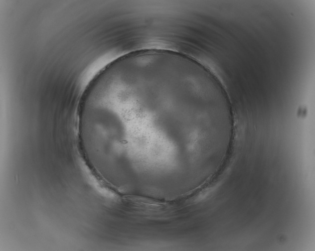 X0000111901125200907271151