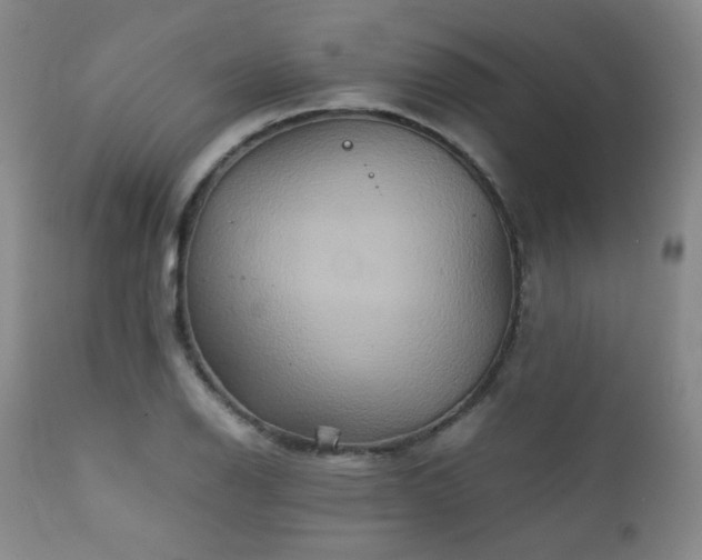 X0000111901126200907271151