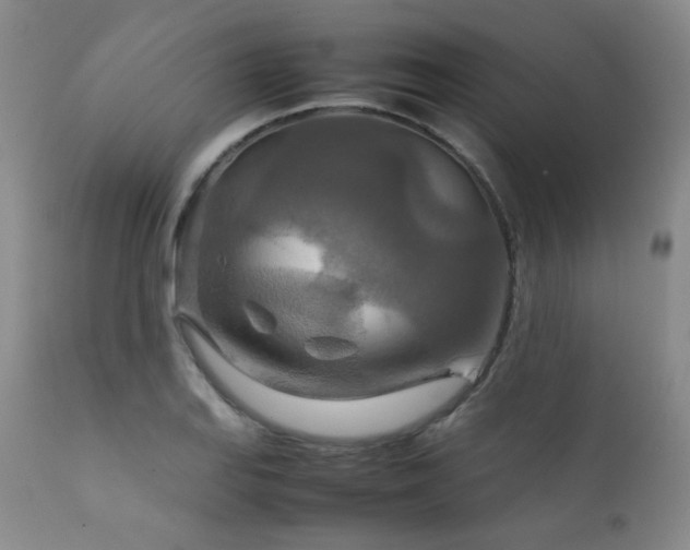 X0000111901127200907271151