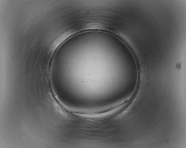 X0000111901129200907271151