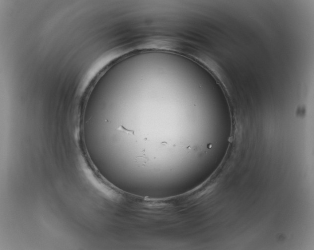 X0000111901131200907271151