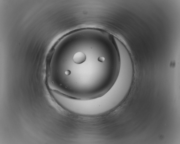 X0000111901132200907271151