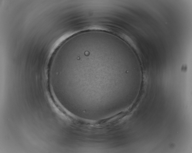 X0000111901133200907271151