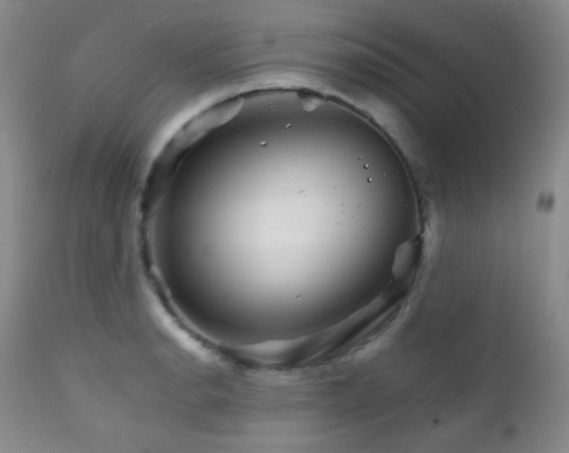 X0000111901134200907271151