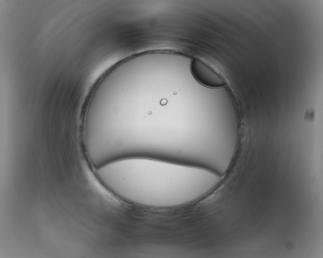 X0000111901135200907271151