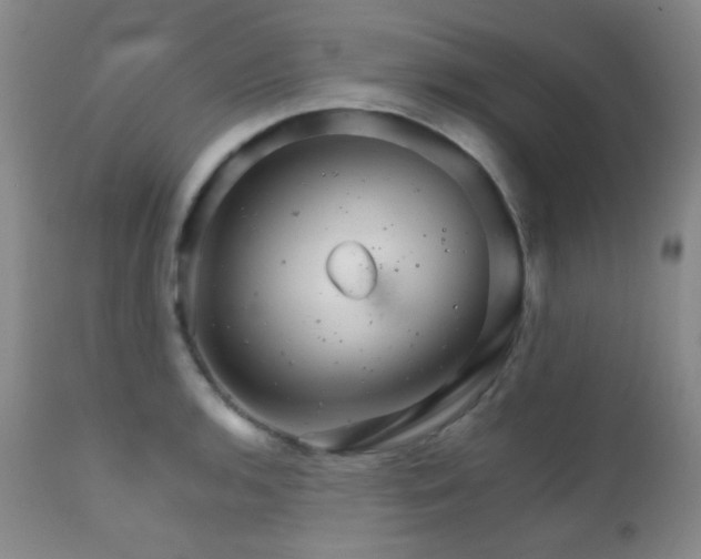 X0000111901136200907271151