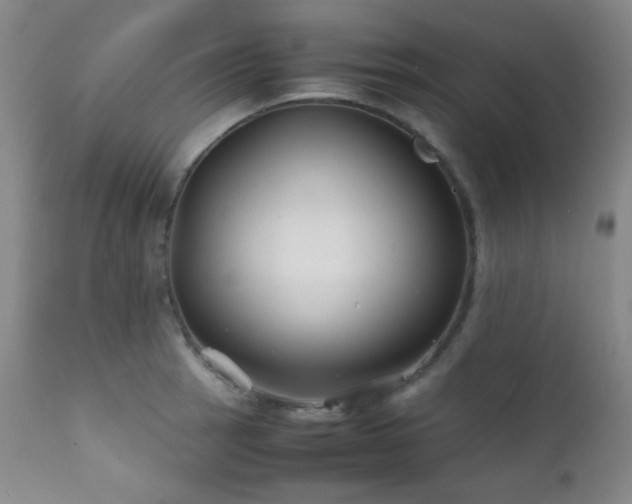 X0000111901137200907271151