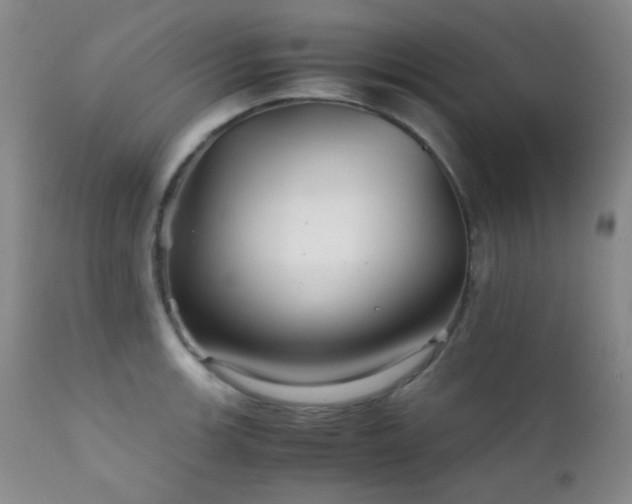 X0000111901139200907271151