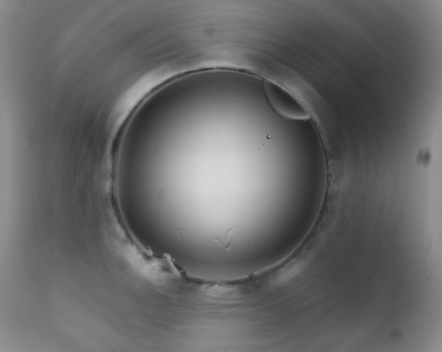 X0000111901140200907271151