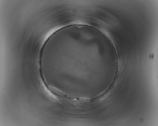 X0000111901141200907271151