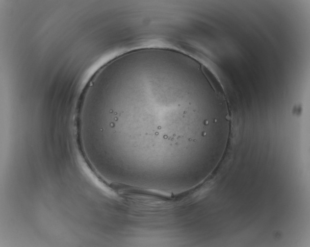 X0000111901142200907271151