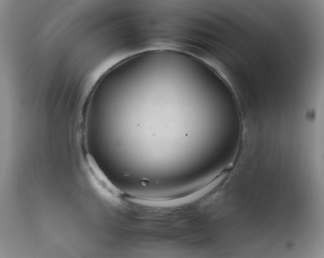 X0000111901143200907271151