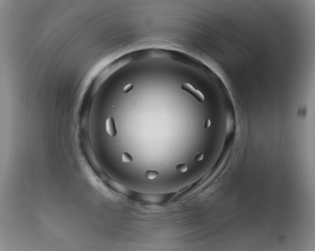 X0000111901144200907271151