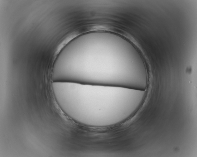 X0000111901145200907271151