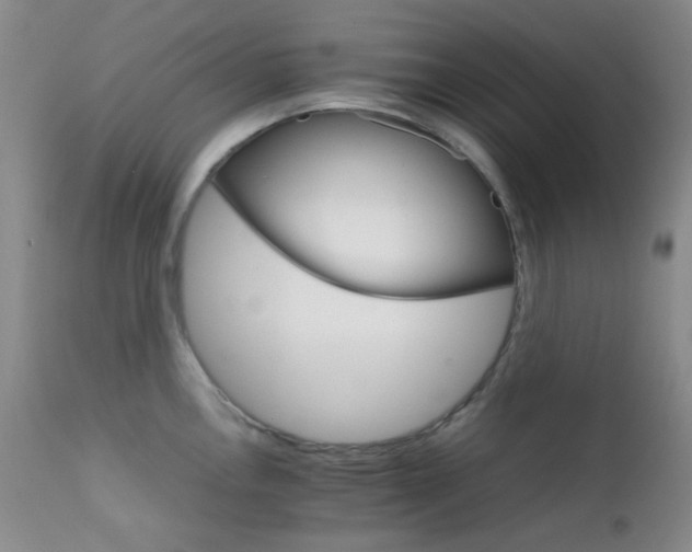 X0000111901146200907271151