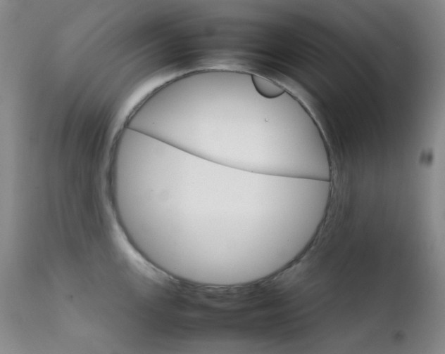 X0000111901147200907271151