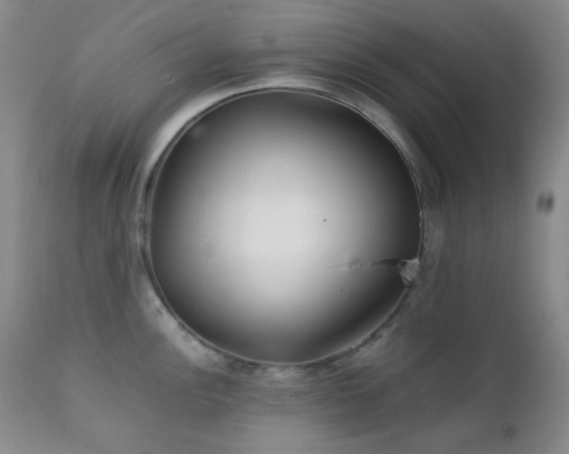 X0000111901148200907271151