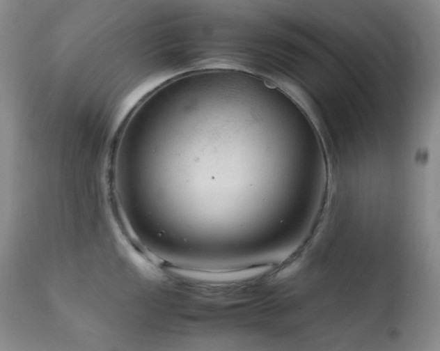 X0000111901149200907271151