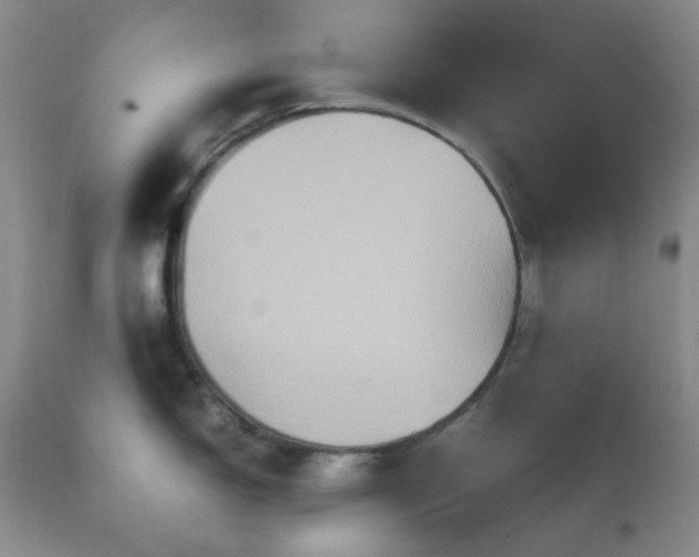 X0000111901150200907271151