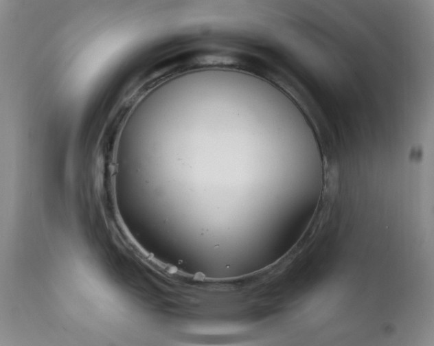 X0000111901151200907271151