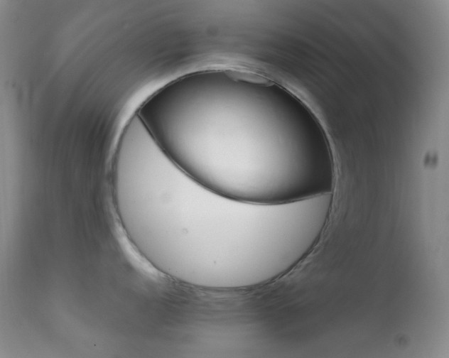 X0000111901152200907271151