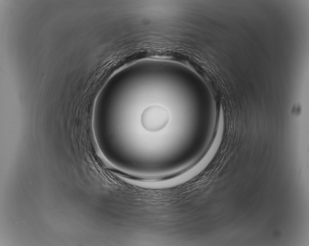 X0000111901153200907271151