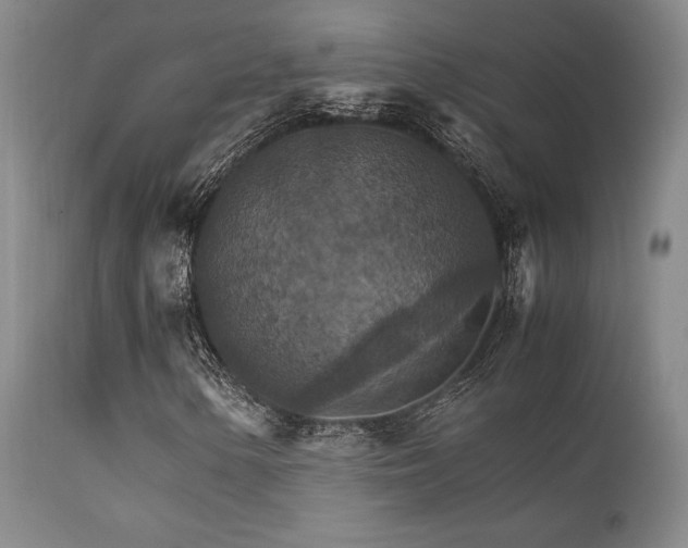 X0000111901154200907271151