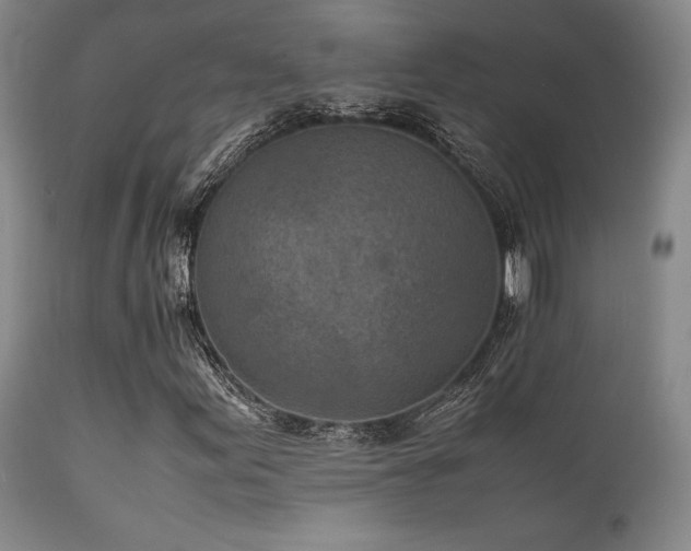 X0000111901155200907271151