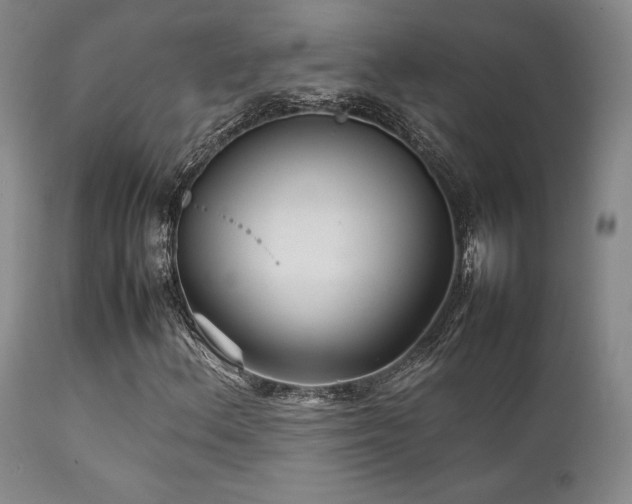 X0000111901156200907271151