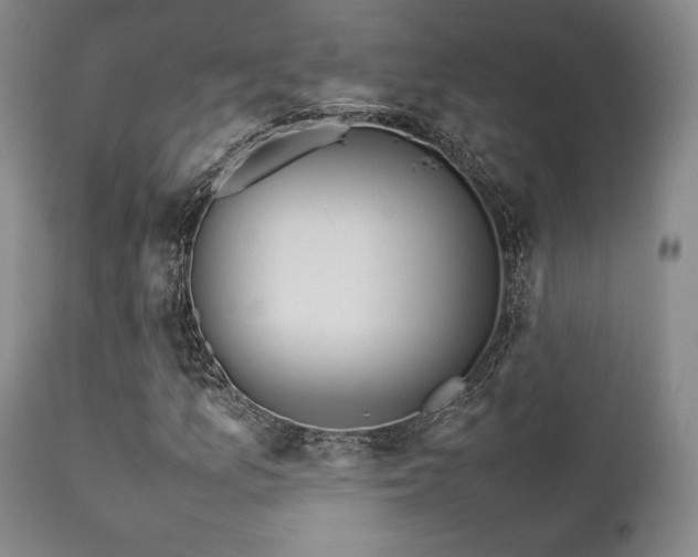 X0000111901157200907271151