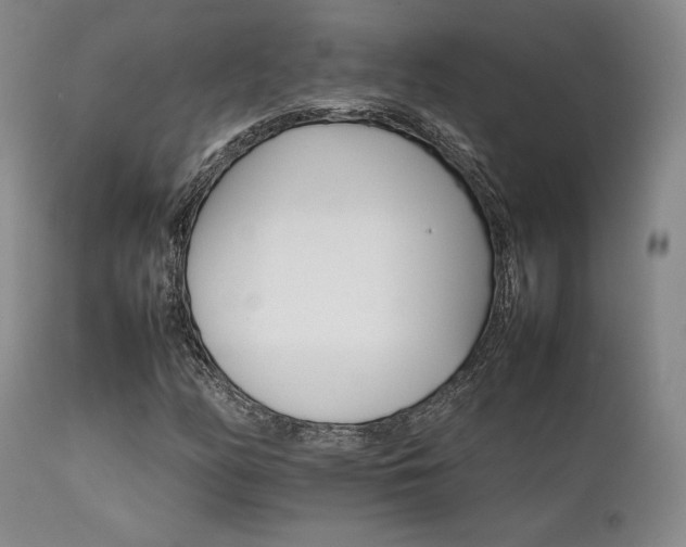 X0000111901158200907271151