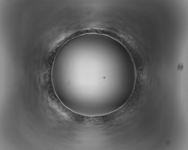 X0000111901159200907271151