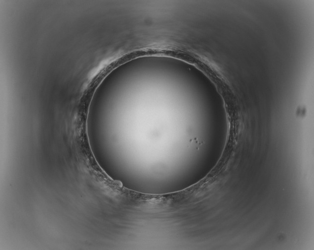 X0000111901160200907271151