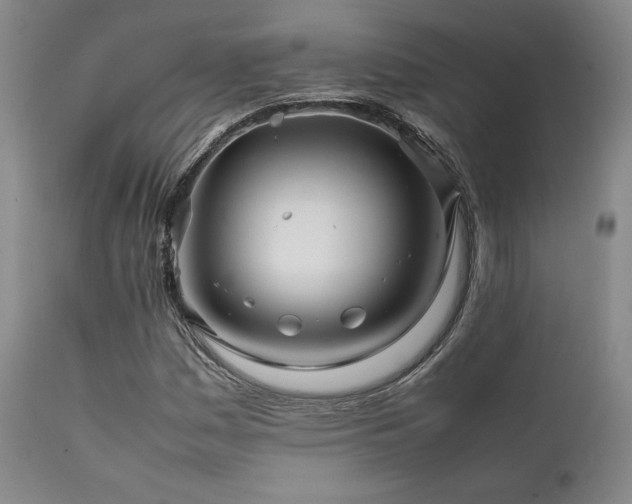 X0000111901161200907271151