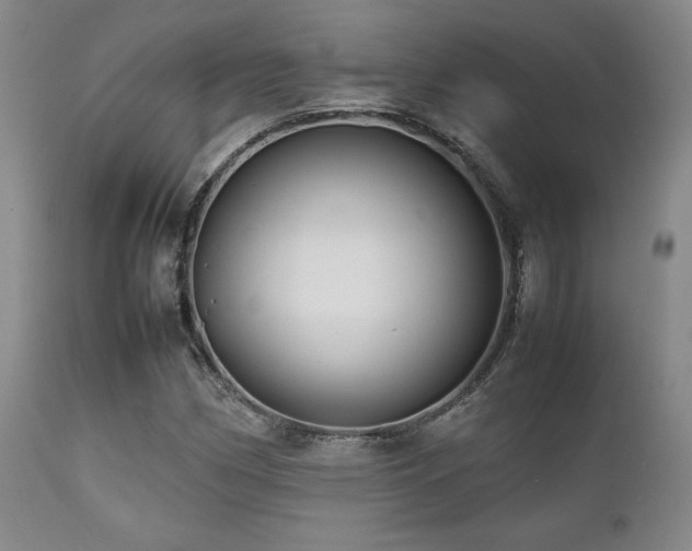 X0000111901162200907271151