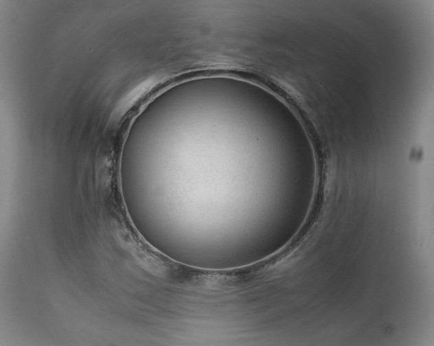 X0000111901163200907271151