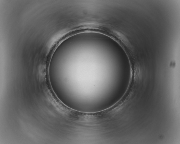 X0000111901164200907271151