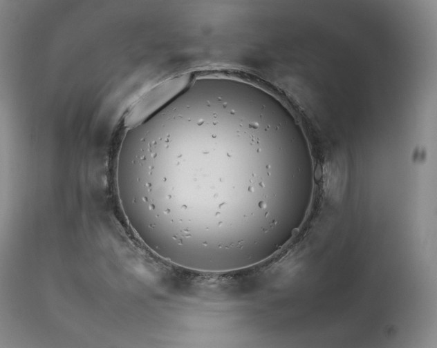 X0000111901165200907271151