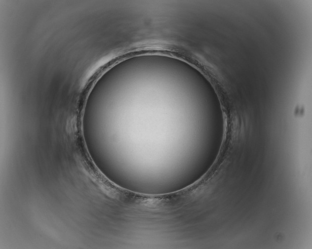 X0000111901166200907271151