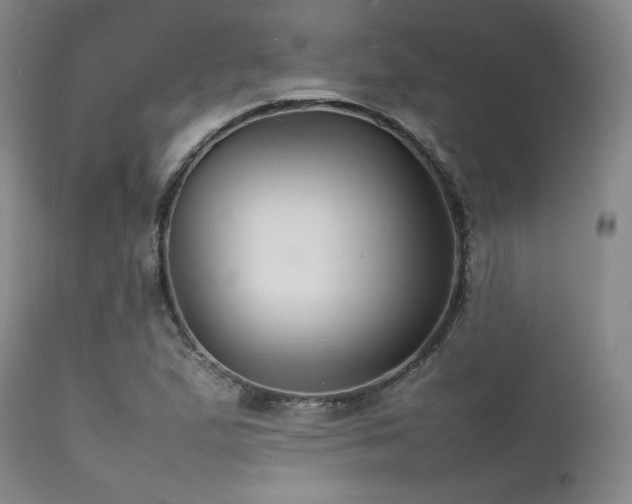 X0000111901167200907271150